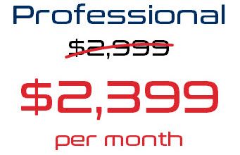 Monthly - Professional